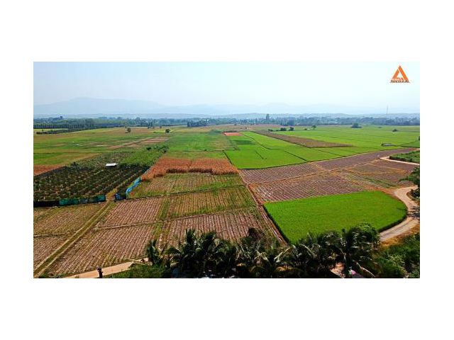 ขายที่นา ที่ไร่ ตำบลแม่แฝก อำเภอสันทราย จังหวัดเชียงใหม่
