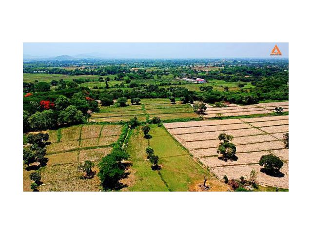 ขายที่ดินสวนเกษตรสันทราย ตำบลหนองแหย่ง อำเภอสันทราย จังหวัดเชียงใหม่