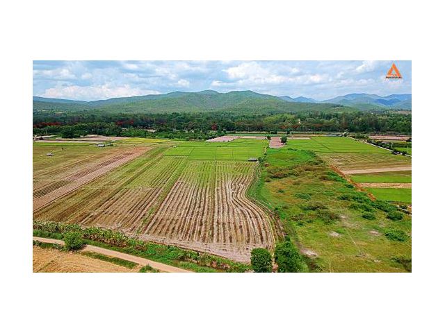 ขายที่ดินราคาถูก ตำบลแม่แฝก อำเภอสันทราย จังหวัดเชียงใหม่