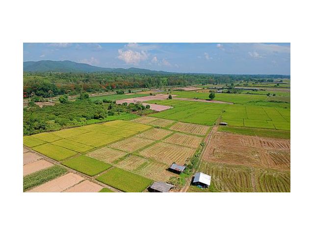 ขายที่ดิน ตำบลแม่แฝก อำเภอสันทราย จังหวัดเชียงใหม่