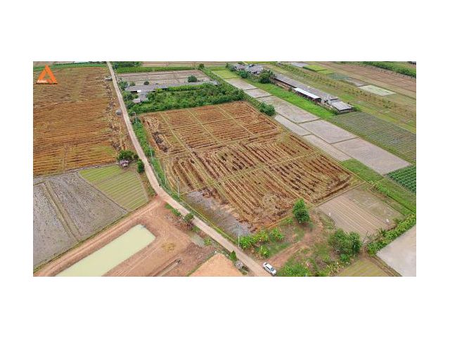 ขายที่ดิน ตำบลแม่แฝก อำเภอสันทราย จังหวัดเชียงใหม่ ติดถนนคอนกรีต