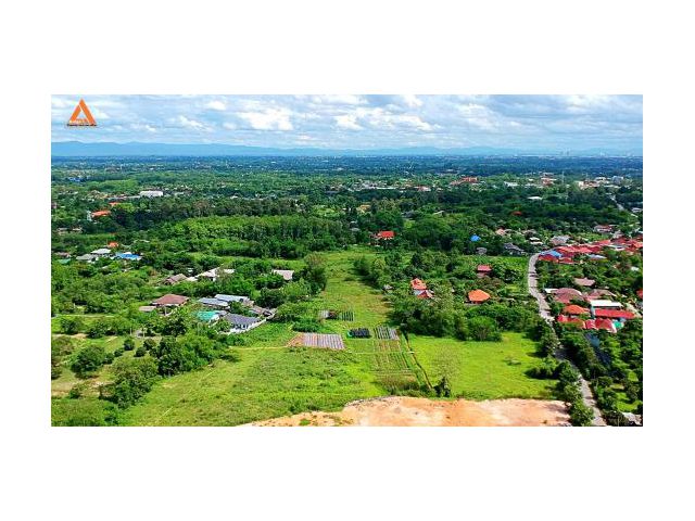 ขายที่ดินหลังแม่โจ้ ตำบลป่าไผ่ อำเภอสันทราย จังหวัดเชียงใหม่