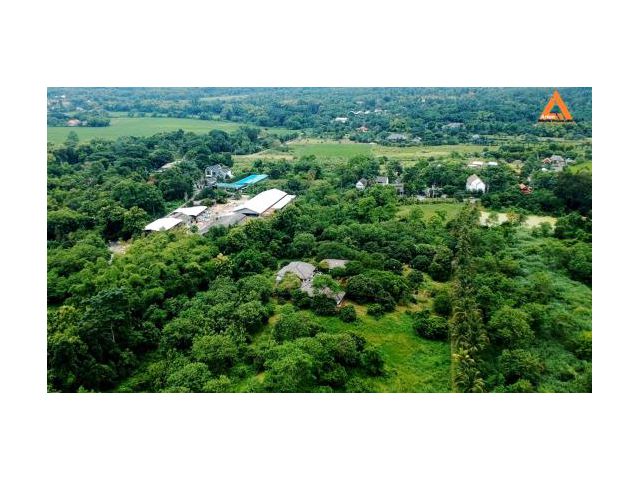 ขายที่ดิน ตำบลห้วยทราย อำเภอแม่ริม จังหวัดเชียงใหม่