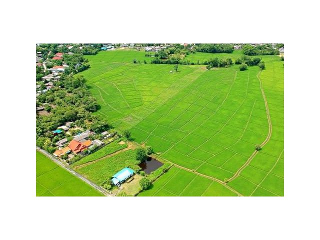 ขายที่ดิน ท่ารั้ว ตำบลสันปูเลย อำเภอดอยสะเก็ด จังหวัดเชียงใหม่