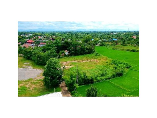 ขายที่ดิน ตำบลขุนคง อำเภอหางดง จังหวัดเชียงใหม่