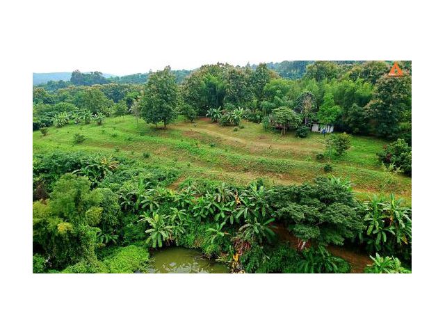 ขายที่ดิน ตำบลสะลวง อำเภอแม่ริม จังหวัดเชียงใหม่ ที่ดินวิวสวย