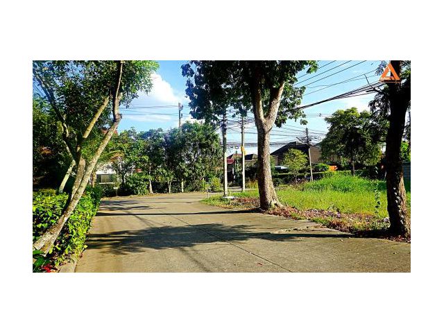 ขายที่ดิน หมู่บ้านวังตาล ตำบลสันผักหวาน อำเภอหางดง จังหวัดเชียงใหม่