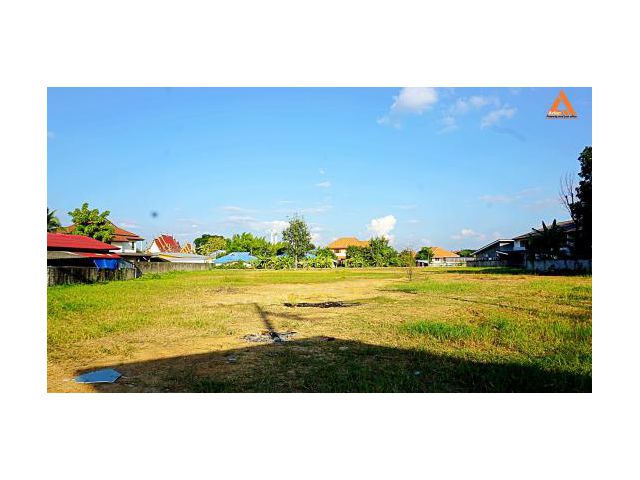 ขายที่ดิน บ้านป่าตาล ตำบลสันผักหวาน อำเภอหางดง จังหวัดเชียงใหม่