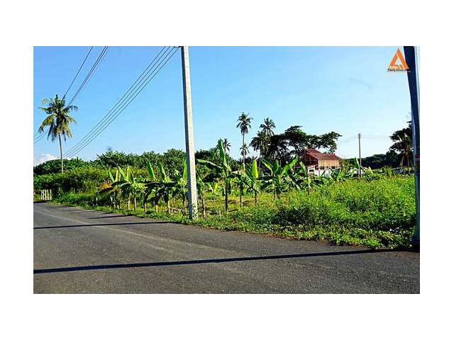 ขายที่ดิน ตำบลสันป่าเปา อำเภอสันทราย จังหวัดเชียงใหม่