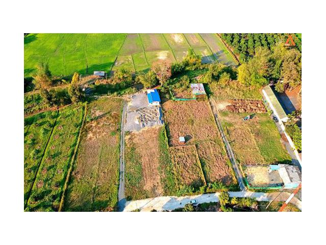ขายที่ดิน ตำบลห้วยทราย อำเภอสันกำแพง จังหวัดเชียงใหม่