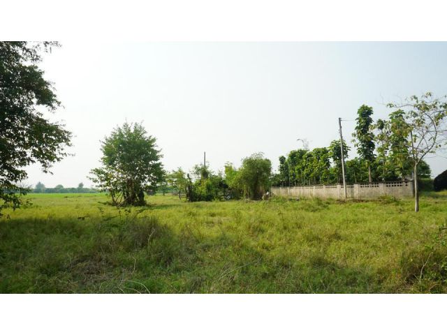 ขายที่ดิน : ที่ดิน 112 ตร.ว ใกล้บ้านถวาย อ.หางดง จ.เชียงใหม่