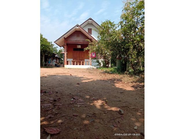 ขายบ้าน พร้อมที่ดิน (ที่ดินพร้อมโฉนด) อ. แม่วาง จ.เชียงใหม่