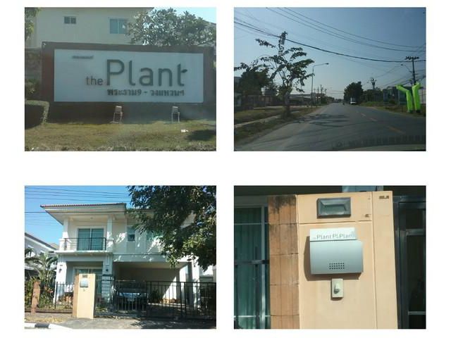 ขายบ้านเดี่ยว :    The Plant พระราม 9 วงแหวน