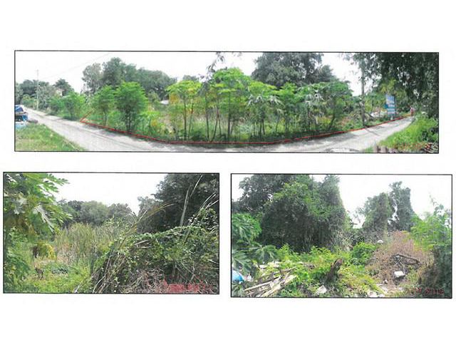 ขายที่ดิน :  ลาดกระบัง 36 แยก 12 กรุงเทพมหานคร