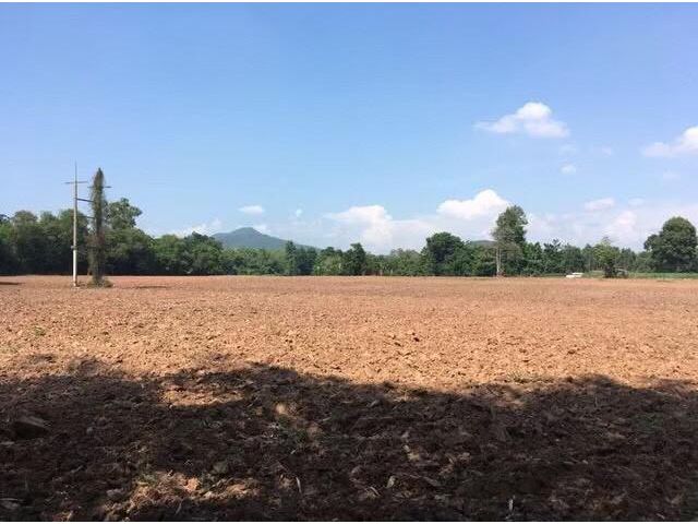 ขายที่ดิน ขายที่ดิน ถมแล้ว  23 ไร่