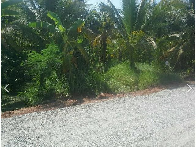 ขายที่ดิน 6 ไร่กว่า ตำบลหอมเกร็ด อำเภอสามพราน นครปฐม ใกล้วัดหอมเกร็ด