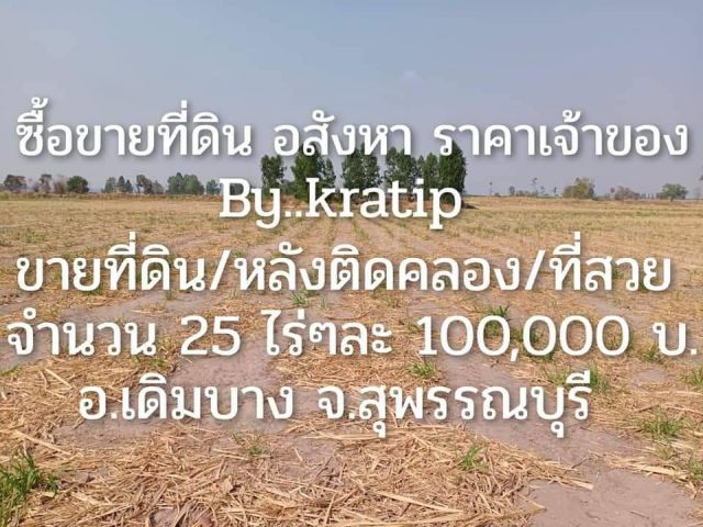 ขายที่ดิน จำนวน 25ไร่ สุพรรณบุรี  เหมาะสำหรับทำพืชไร่