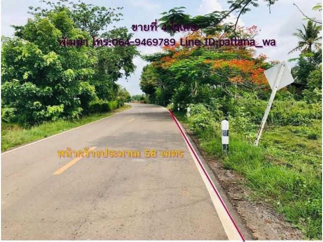 ️ขายที่ดินสวยๆ ติดถนนลาดยาง เหมาะทำบ้านสวน เนื้อที่ 4 ไร่เศษ