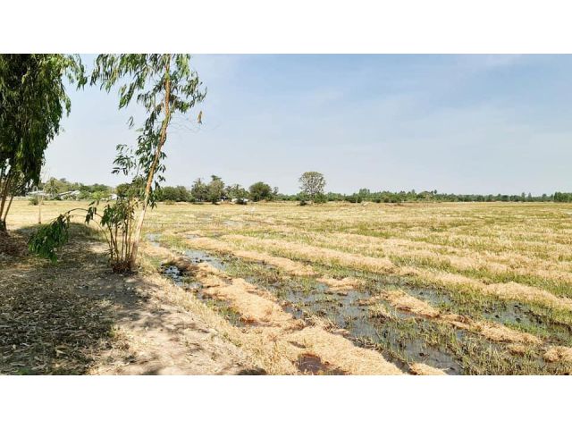 ขายที่ดินถูกที่สุดในพังตรุ ท่าม่วงกาญจนบุรี