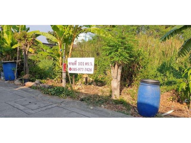 ขายที่ดิน  อ.กระทุ่มแบน จ. สมุทรสาคร