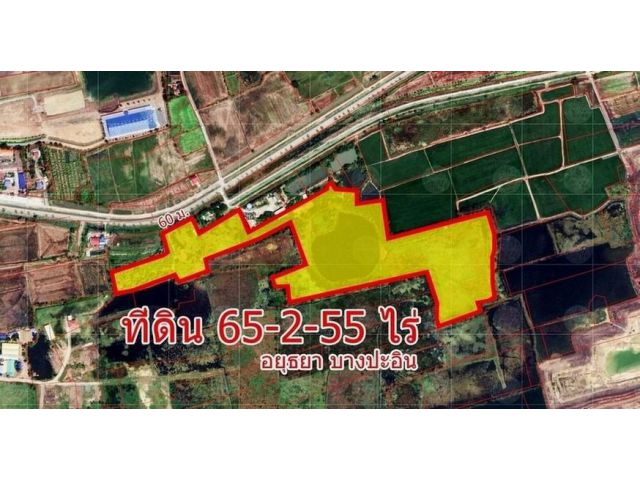 ที่ดิน 65-2-55 ไร่  ติดถนนนตลาดเกรียบ-วัดยม ห่างจากเส้น347 เพียง640ม. ใกล้พระมหาจักรพรรดิ์ โพธิสัตว์กวนอิม บางปะอิน จ.อย