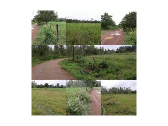 ขายที่ดิน 4 ไร่ อยู่หลังสนามกอล์ฟกบินทร์บุรีสปอร์ตคลับ ห่างจากถนนสุวรรณศรประมาณ 500 เมตร ห่