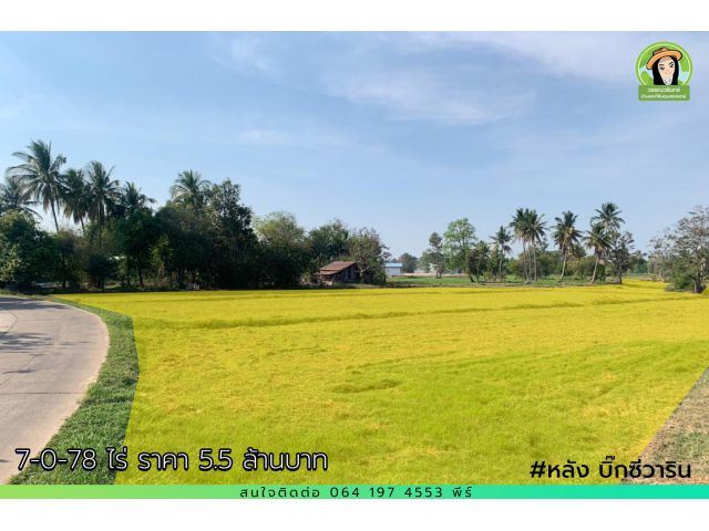 ที่ดินสำหรับทำบ้านจัดสรร หลังยิ๊กซีวาริน 7-0-78 ไร่ ราคา 5.5 ล้านบาท