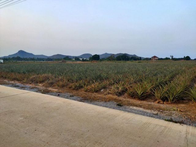 ขายที่ดิน 4 ไร่ วิวสวย หัวหิน (วังก์พง )