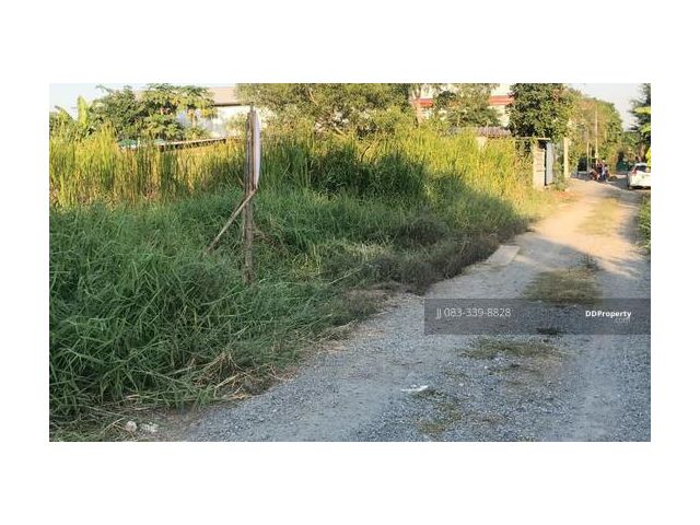 ขายที่ดิน ซอยหนองระแหง 4 แยก 7  ถนนหทัยราษฎร์ 400 ตรว.คลองสามวา ราคาถูกมาก เหมาะสร้าง โฮมออฟฟิศ โกดัง หอพัก ที่อยู่อาศัย