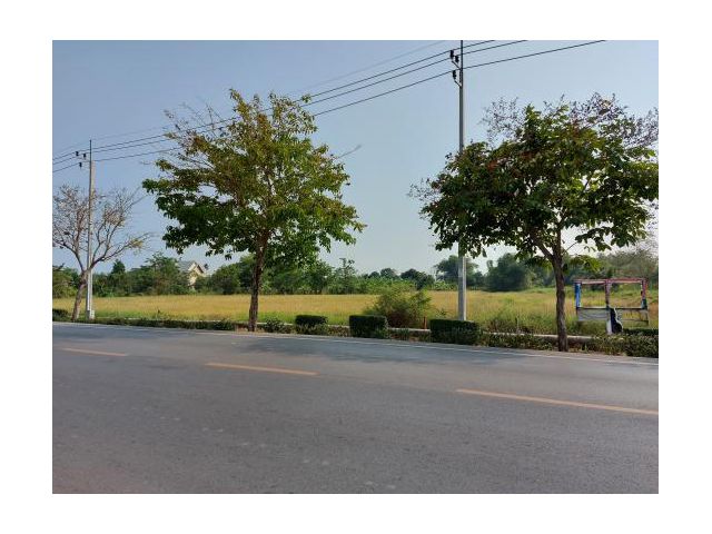 ขายที่ดินหนองจอก ติดถนนคลองเก้า  เนื้อที่ 5 ไร่ ถมแล้ว  ใกล้เคหะคลองเก้า และวัดสามง่าม  หน้าติดถนน-หลังติดคลองใหญ่