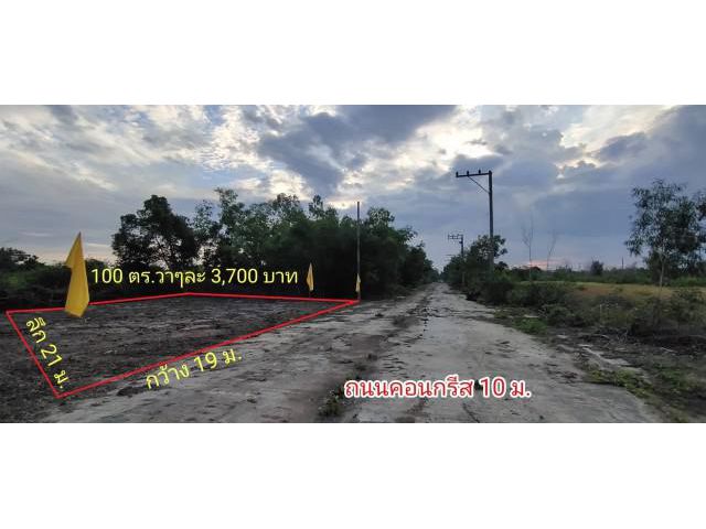 ขายด่วนที่ดินคลอง11 หนองเสือ ปทุมธานี พร้อมน้ำไฟ