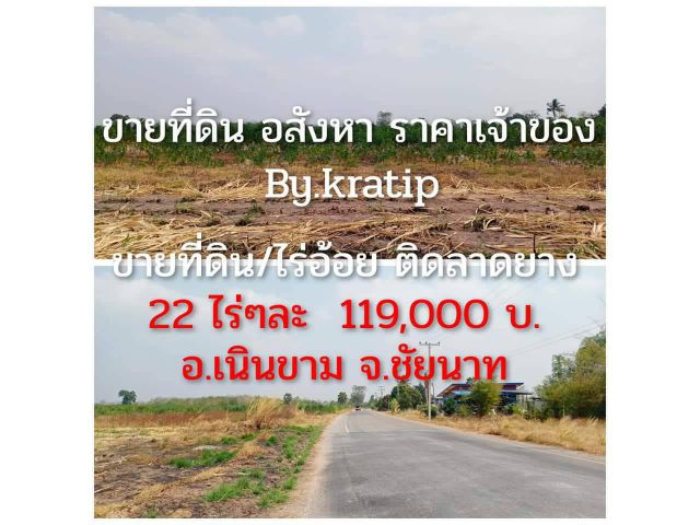 ขายที่ดิน 22ไร่  เนินขาม ชัยนาท  เหมาะสำหรับทำพืชไร่