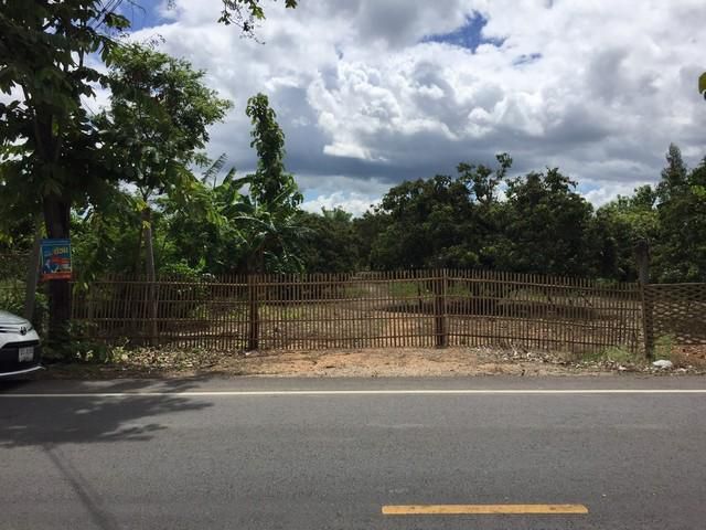 ขายที่ดิน ริมถนนแถวหนองสะลิงอำเภอบ้านโฮ่งจ.ลำพูน