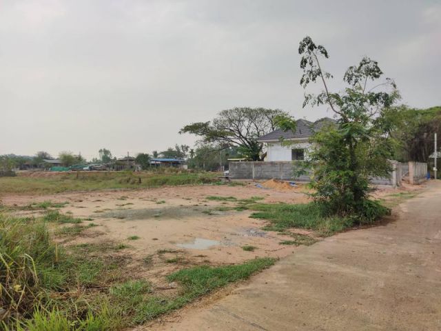 ที่ดินสร้างบ้านถทดินหลังแคทเทเลคอม/ยโสธร