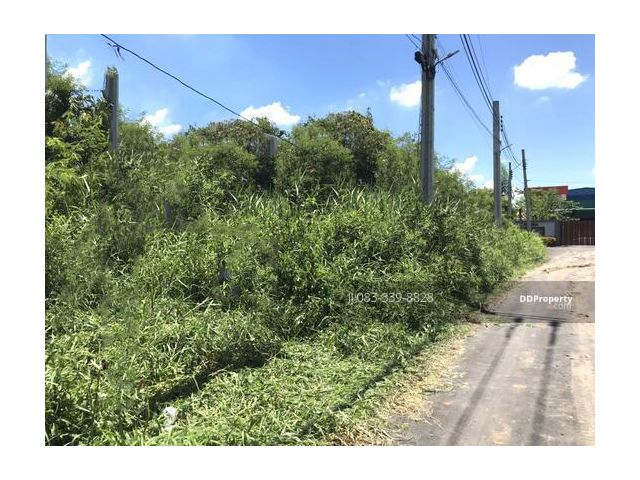 ขายที่ดินแปลงสวย เนื้อที่ 270 ตารางวา ในซอยบางแวก50 หน้ากว้าง 55 เมตร ลึก 23 เมตร ที่ดินเป็นสี่เหลี่ยมผืนผ้า