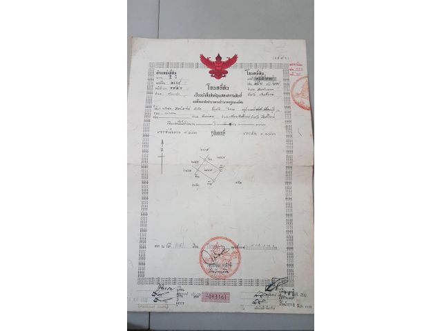 ที่ดินเปล่า 100ตรว หลังSCG solution สันกำแพง