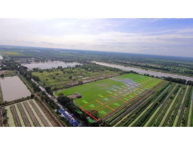 ที่ดินแบ่งขายผ่อน/สดหนองเสือ 200 ตรว. ติดถ.คอนกรีตใกล้อบต.นพรัตน์ 2 กม. จ.ปทุมธานี