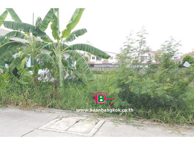 ที่ดินเปล่า ซอยชัยมงคล เนื้อที่ 60 ตรว. ถนนหทัยราษฎร์ อ.ลำลูกกา จ.ปทุมธานี