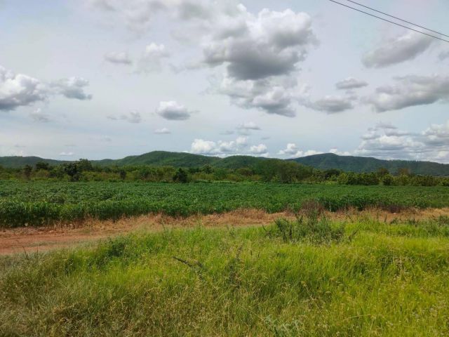 ที่ดินแบ่งขายด่านช้าง 2 ไร่ ใกล้ถ.สุพรรณบุรี 4016 - 1 กม. จ.สุพรรณบุรี