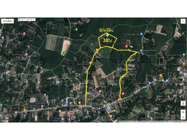 ขายที่ดิน 38 ไร่ ต.บ้านแลง อ.เมืองระยอง ใกล้ตัวเมืองระยอง*ขายถูกด่วน!