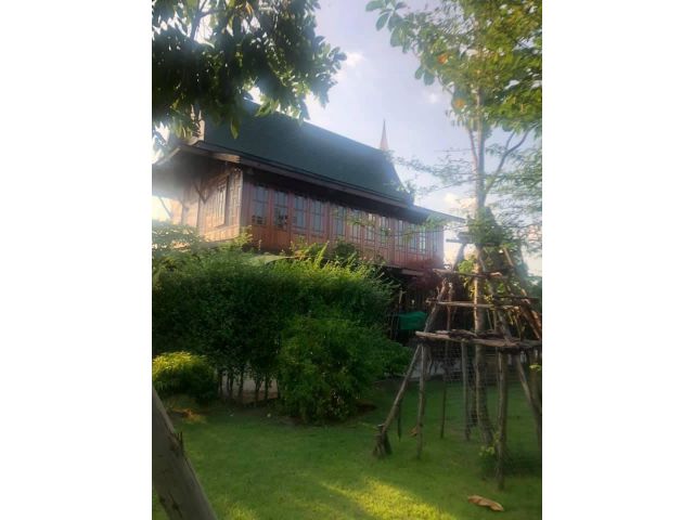 ขายบ้านเรือนไทย พร้อมที่ดินถมสูงแล้วเป็นสวน