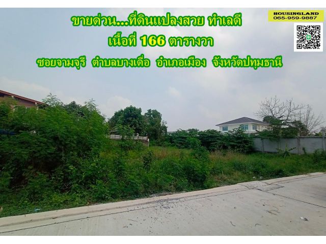 ขายด่วนที่ดินสวย ใกล้อบต.บางเดื่อ เนื้อที่ 166 ตารางวา ซอยจามจุรี