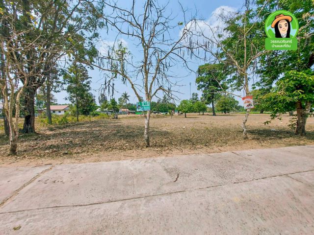 ที่ดินเปล่า