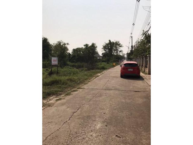 ขายด่วน ที่ดินขนาด 1 ไร่ จังหวัดหนองคาย