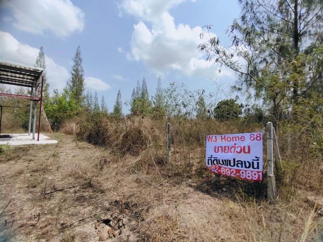 ที่ดิน 200 ตรว. ใกล้ไรพลิศา หัวหิน