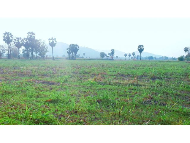 ขายทีดินวิวเขา อู่ทองสุพรรณบุรี 1 ไร่พอเพียง บรรยากาศดีไม่เปลี่ยวใกล้กรุงเทพฯ