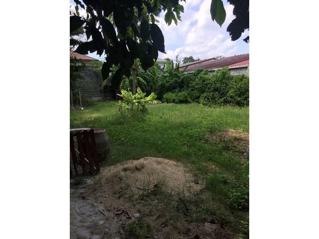 ขายที่ดินหลังโรงงานเป๊ปซี่เก่า 119ตร-ว.