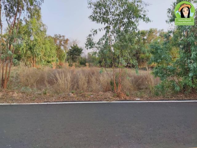 ที่นาติดถนนลาดยาง ต.หนองเรือ