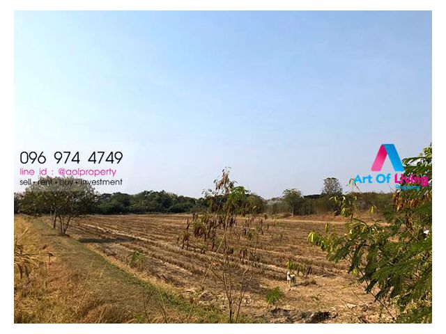 ขายที่ดินจ.ราชบุรี ตลาดเดอะไนน์ AOL-F85-2103003454