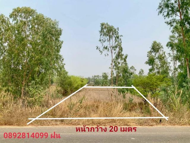 ที่นาติดถนนลาดยางทางหลวงชนบท หนองแก-บ้านเชือก เนื้อที่ 1 ไร่ 19 ตรว.ขายเพียง 600,000 เอกสารโฉนด พร้อมโอน